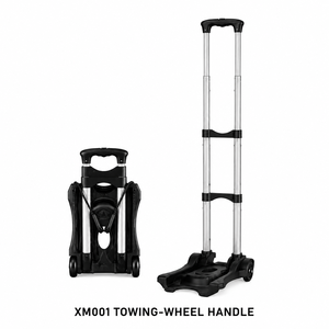 Low Price Durable Convenience 2 Wheel Trolley Cart Portable Folding Luggage Cart Hand Truck
