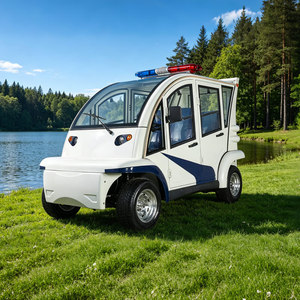 Electric People Mover 4 Seats Aluminum Hard Door