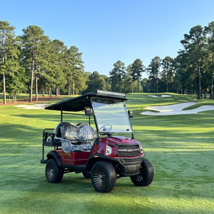 Luxury 4 Seater Electric Golf Cart Personal Transporter